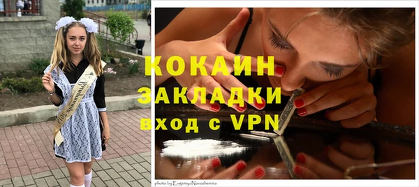 apvp Алзамай