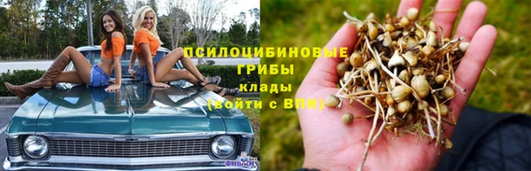 apvp Алзамай