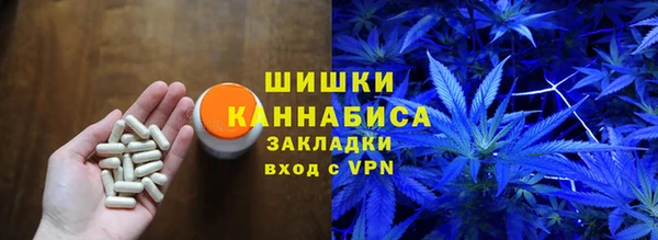 apvp Алзамай