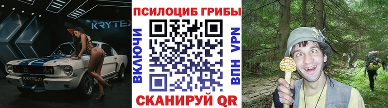 купить наркотик  Дно  Псилоцибиновые грибы мухоморы 